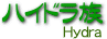 nCh/Hydra