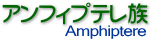 AtBve/Amphiptere